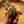 Load image into Gallery viewer, Salamandra salamandra Fire Starters