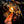 Load image into Gallery viewer, Salamandra salamandra Fire Starters