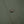 Load image into Gallery viewer, Green flannel shirt jacket Vulpes vulpes