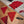 Load image into Gallery viewer, Pennants Luciola lusitanica