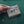 Load image into Gallery viewer, Green Ciconia ciconia Belt Pouch