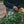 Load image into Gallery viewer, Green Ciconia ciconia Belt Pouch