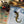 Load image into Gallery viewer, Salamandra salamandra Fire Starters