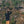 Load image into Gallery viewer, Sweatshirt Meles meles Legatus Via