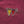 Load image into Gallery viewer, Cotton T-shirt Alauda arvensis Legatus Via