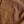 Load image into Gallery viewer, The Freshest Shirt Milvus migrans II in Brown