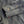 Load image into Gallery viewer, The Freshest Shirt Milvus migrans II in Gray
