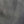Load image into Gallery viewer, The Freshest Shirt Milvus migrans II in Gray