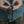 Load image into Gallery viewer, Handmade bracelet Capreolus capreolus in paracord. Handmade in Portugal. Welcome to the wolfpack.