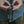 Load image into Gallery viewer, Green paracord bracelet Capreolus capreolus