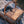 Load image into Gallery viewer, Picnic Basket + Towel Apus apus