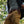 Carregar imagem no visualizador da galeria, Men's Camel Pants Indagatio