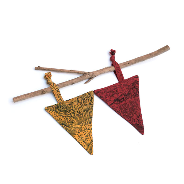 Pennants Luciola lusitanica