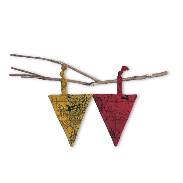 Pennants Luciola lusitanica