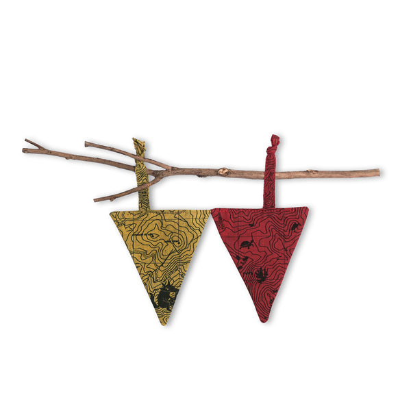 Pennants Luciola lusitanica