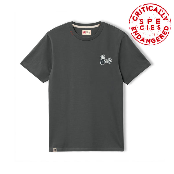 Dark Grey Cotton T-shirt Cheloniidae IV