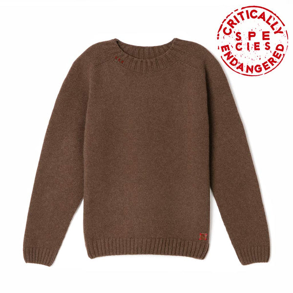 Brown wool sweater Felis silvestris II