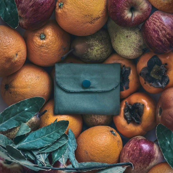 Carteira verde Triturus marmoratus