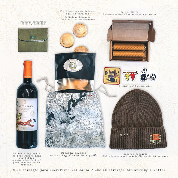 Caixa de Natal Indagatio 2025