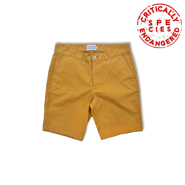 Camel shorts Cervus elaphus