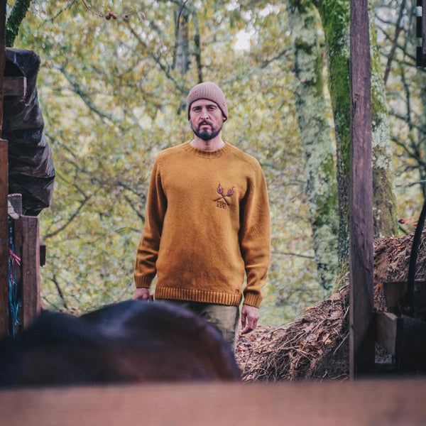 Yellow wool sweater Felis silvestris Fiat lux