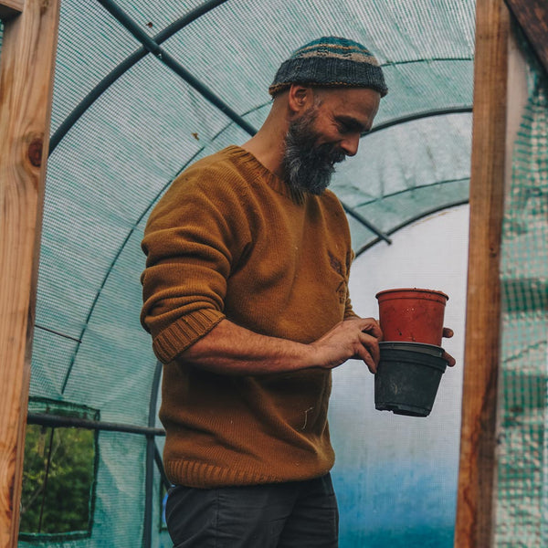 Yellow wool sweater Felis silvestris Fiat lux