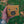 Load image into Gallery viewer, Camel Ciconia ciconia Belt Pouch
