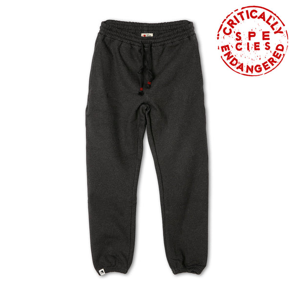 Dark grey joggers Cervus elaphus