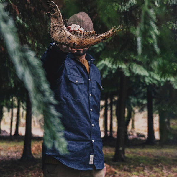 Camisa de ganga Tyto alba II