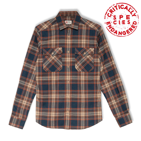 Checks flannel shirt Aquila chrysaetos