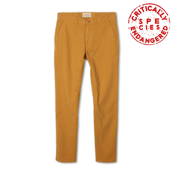 Camel pants Cervus elaphus in stretch cotton