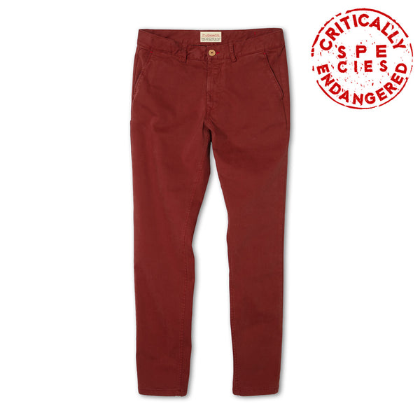 Burgundy pants Cervus elaphus in stretch cotton