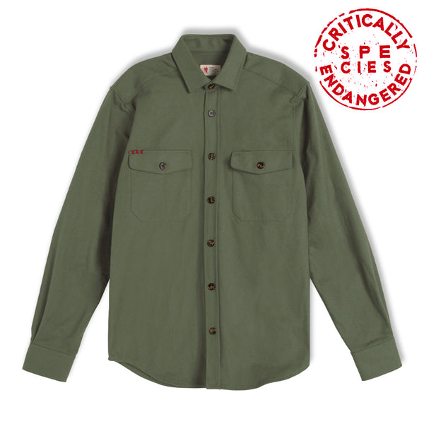 Green flannel shirt jacket Vulpes vulpes