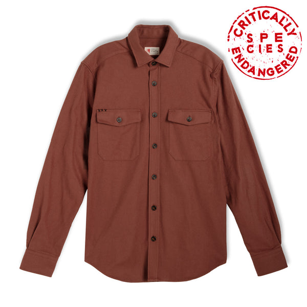 Dark orange flannel shirt jacket Vulpes vulpes