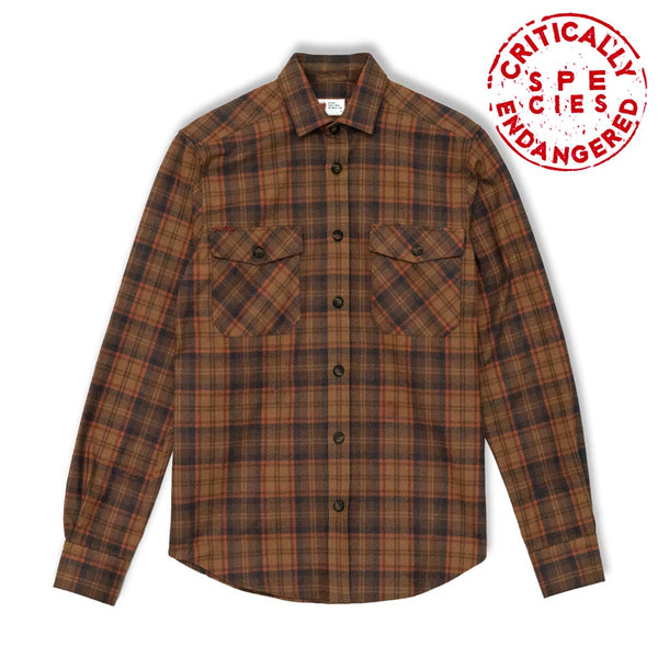 Brown checks flannel shirt jacket Vulpes vulpes