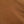 Load image into Gallery viewer, The Freshest Shirt Milvus migrans II in Brown
