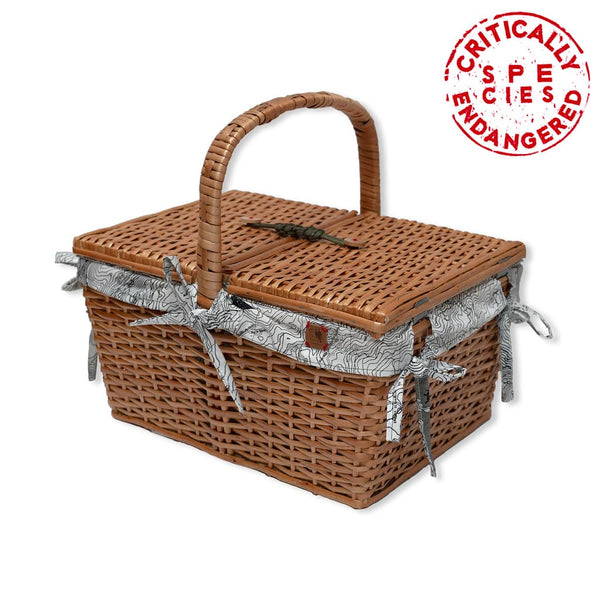 Picnic Basket + Towel Apus apus