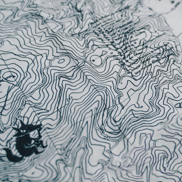 Tecido "Mapa Indagatio"